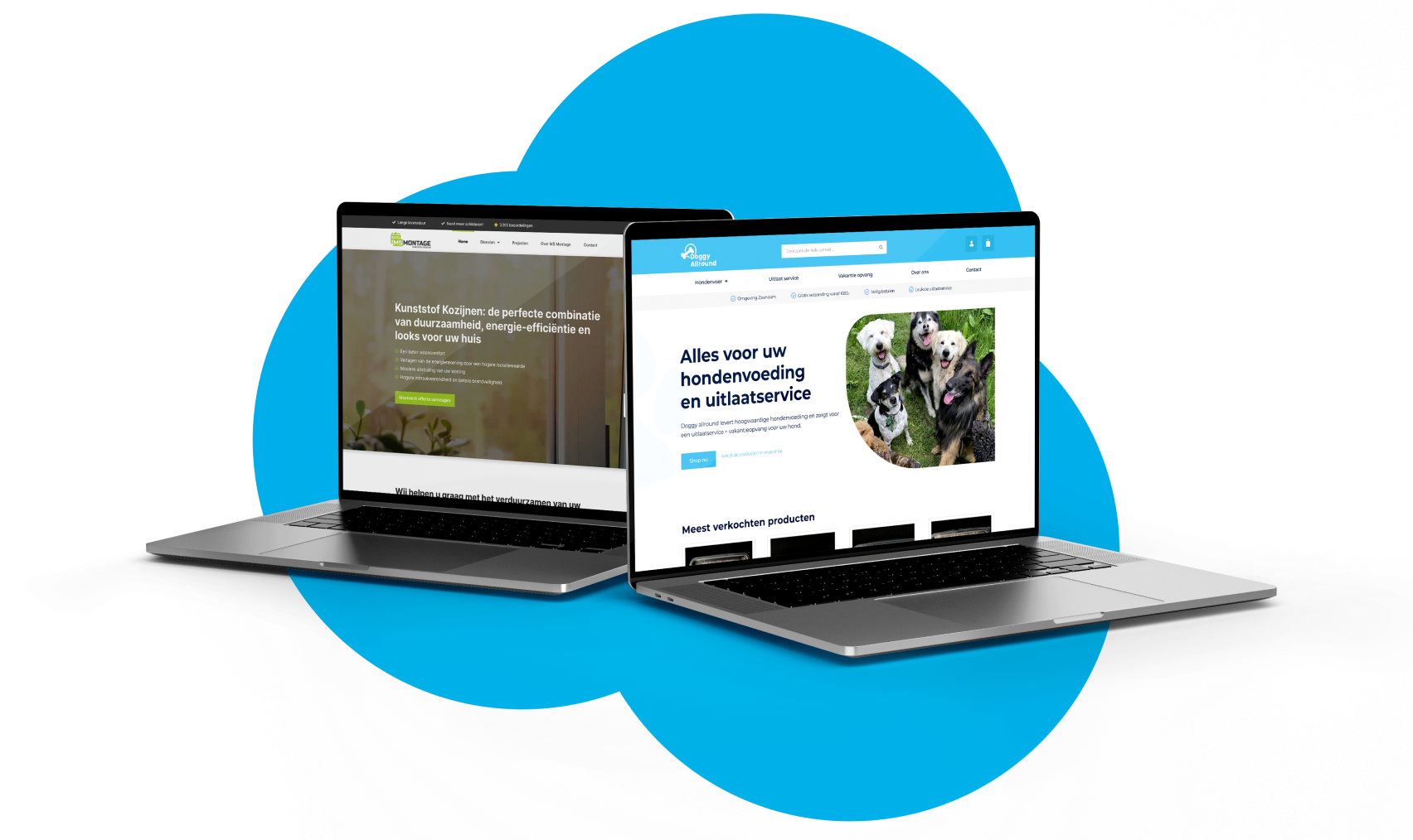 65538933424561df3f458ae7 website mockup thabdesign